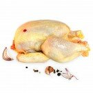 Paderborner Maishähnchen - lose "Kikok"