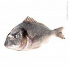  Dorade Royal - ausgenommen und geschuppt (Türkei)