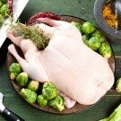 Cherry Valley Ente (Europa), grillfertig, tiefgekühlt