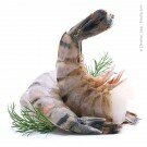 Riesengarnele - Black Tiger Garnele, roh, Easy peel, 8/12 Stück - tiefgefroren *ASC-ZERTIFIZIERT*