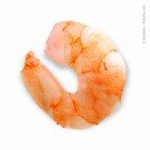 Riesengarnele 16/20 - WILDFANG, geschält, 20% Glasur, (Indonesien) - tiefgefroren